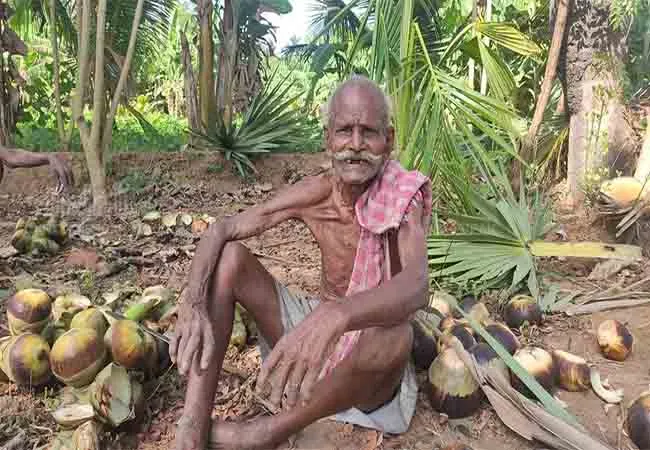 pudukkottai district old man  pension arranged  district collector